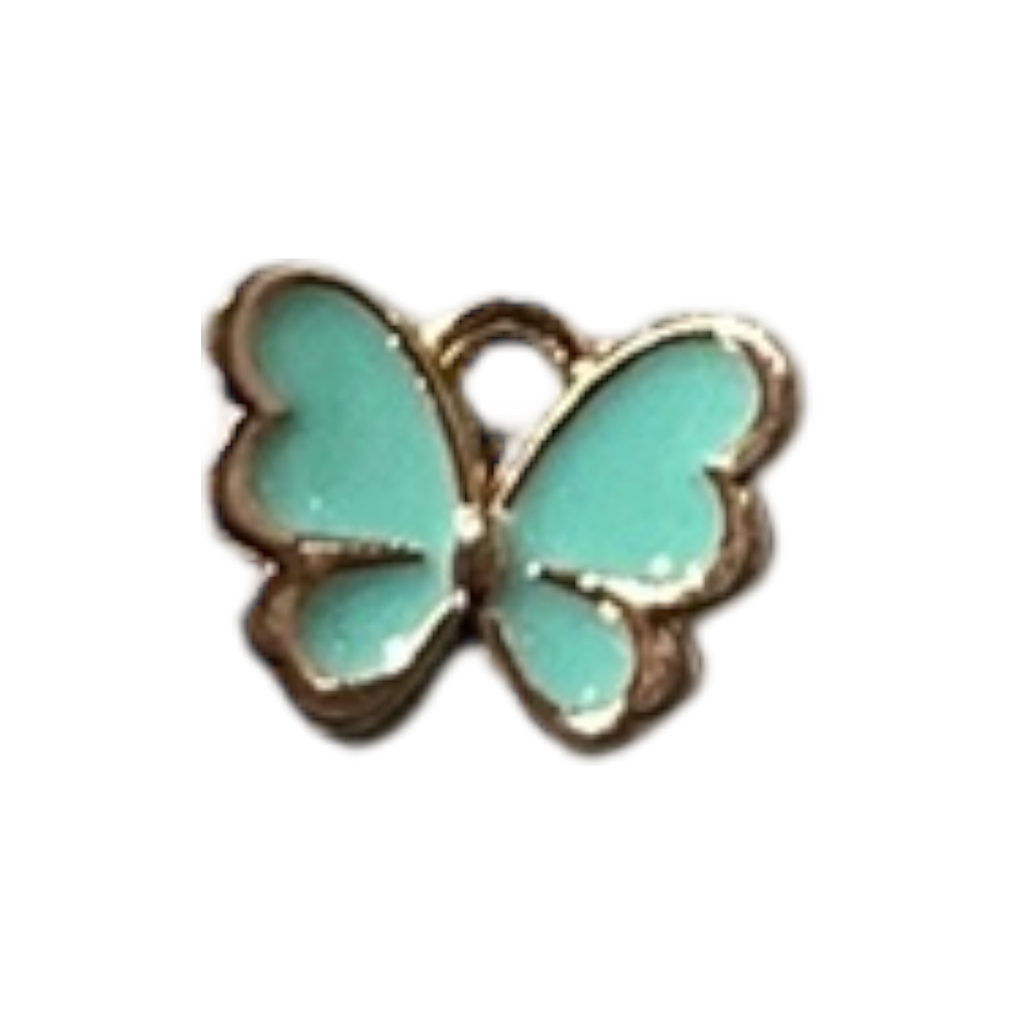 Teal Butterfly