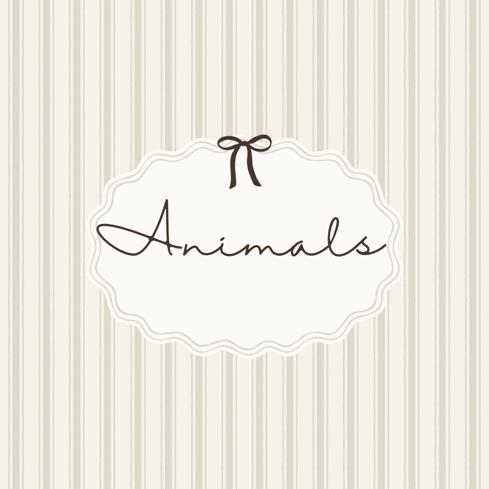 Animals