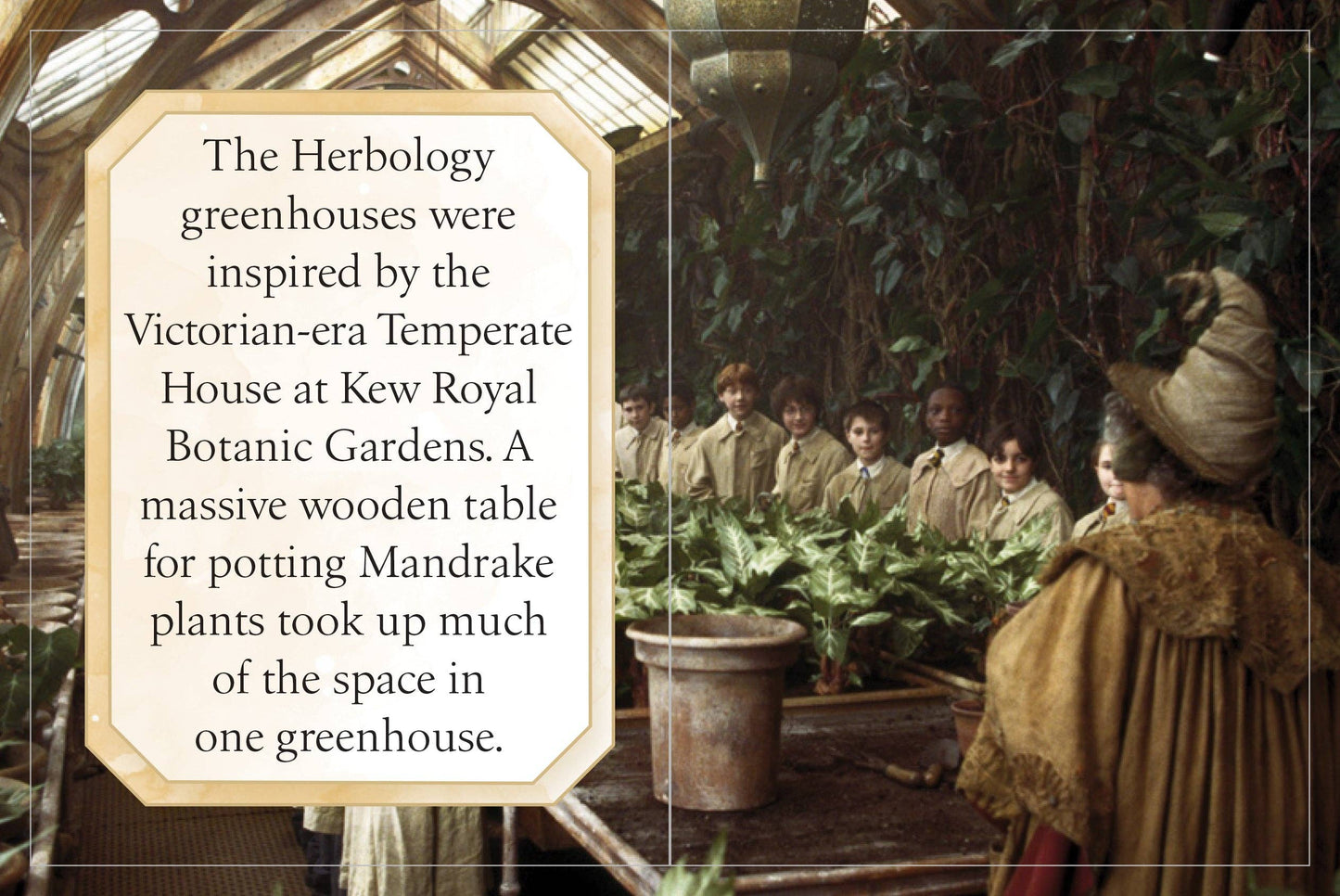 Harry Potter: Mini Hogwarts School of Witchcraft & Wizardry