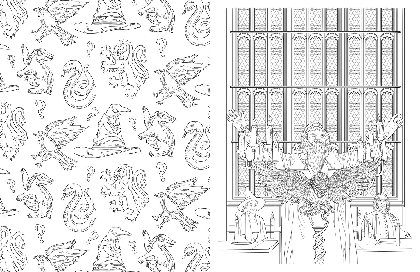 Harry Potter: Hogwarts: An Official Coloring Book