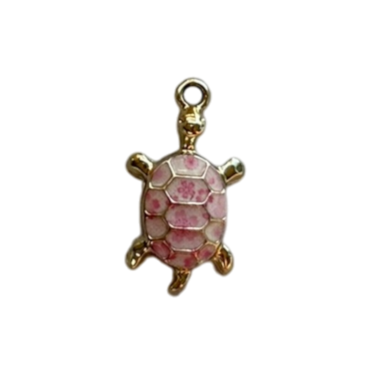 Pink Turtle